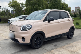 零跑汽车 零跑T03 2023款 310轻享版