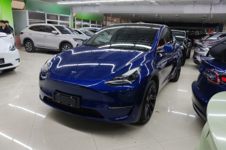 特斯拉 Model Y 2021款 长续航全轮驱动版