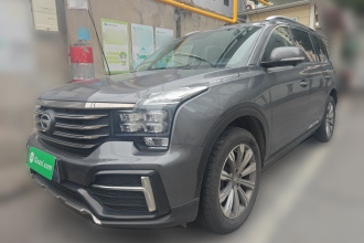 广汽传祺 传祺GS8 2020款 390T 两驱豪华智联版（七座）