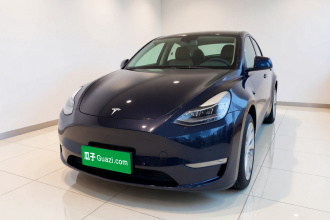特斯拉 Model Y 2021款 长续航全轮驱动版