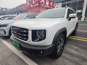 哈弗大狗 2021款 1.5T DCT两驱边牧版