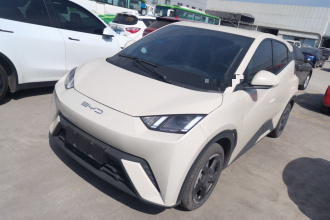 比亚迪 海鸥 2023款 自由版