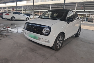 欧拉黑猫 2021款 351km 豪华型