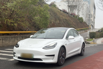 特斯拉 Model 3 2020款 标准续航后驱升级版