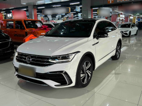 大众 途观X 2022款 330TSI 两驱旗舰版