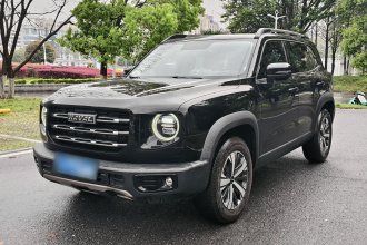 哈弗大狗 2022款 1.5T DCT两驱拉布拉多版