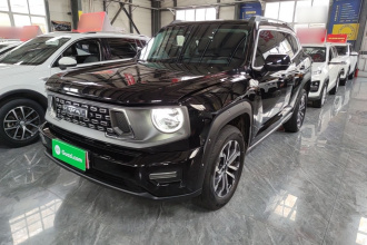 哈弗大狗 PLUS 2023款 2.0T 四驱潮野Plus