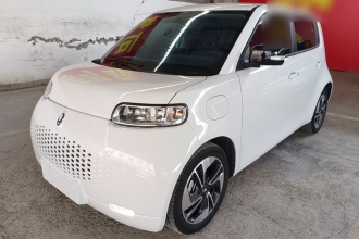 欧拉白猫 2020款 305km 豪华型