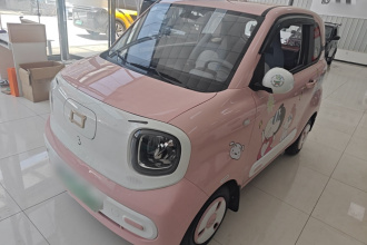 奔腾小马 2024款 170km 活力马
