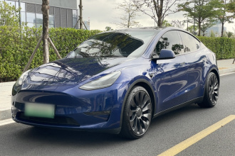 特斯拉 Model Y 2021款 Performance高性能全轮驱动版