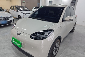 五菱汽车 五菱缤果 2024款 333km 悦享款