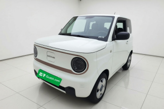 吉利银河 2023款 熊猫mini 120km 超萌熊