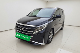 广汽传祺 传祺M8 2021款 领秀系列 390T 尊贵版