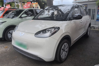 五菱汽车 五菱缤果 2024款 203km 轻享款