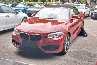 宝马2系(进口) 2019款 225i 敞篷轿跑车 运动设计套装