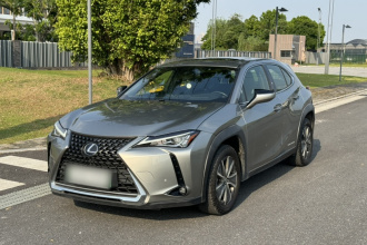 雷克萨斯UX新能源 2020款 300e 纯·悦版