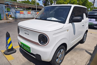 吉利银河 2023款 熊猫mini 200km 耐力熊
