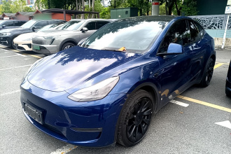 特斯拉 Model Y 2021款 长续航全轮驱动版 3D7