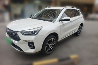 哈弗H6 Coupe 2018款 红标 1.5T 自动两驱超豪型