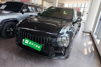 领克09 EM-P 2025款 2.0TD EM-P 四驱Max 五座