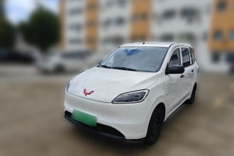 五菱汽车 五菱宏光新能源 2024款 纯电版 300KM 实用型