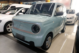 吉利银河 2023款 熊猫mini 200km 耐力熊