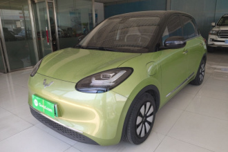 五菱汽车 五菱缤果 2023款 333km 悦享款