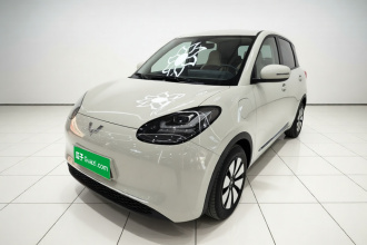 五菱汽车 五菱缤果 2024款 333km 悦享款