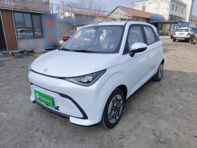 奇瑞QQ 多米 2025款 305km 舒享型