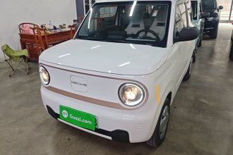 吉利银河 2024款 熊猫mini 200km 耐力熊