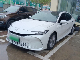 丰田 凯美瑞 2024款 2.0G 尊贵版