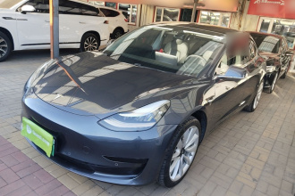 特斯拉 Model 3 2019款 标准续航后驱升级版