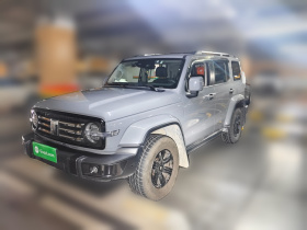 坦克300 2021款 城市版 2.0T 很有型