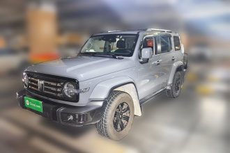 坦克300 2021款 城市版 2.0T 很有型