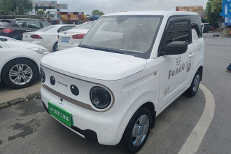 吉利银河 2023款 熊猫mini 120km 超萌熊