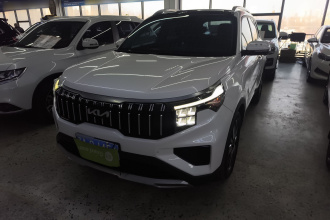 起亚 智跑 2021款 Ace 2.0L 精彩版