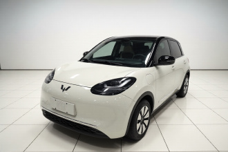 五菱汽车 五菱缤果 2024款 333km 灵犀互联款