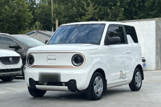 吉利银河 2024款 熊猫mini 200km 耐力熊