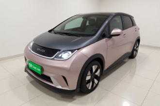 比亚迪 海豚 2021款 401km 骑士版