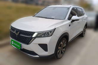 五菱汽车 五菱星辰 2022款 2.0L DHT电劲款