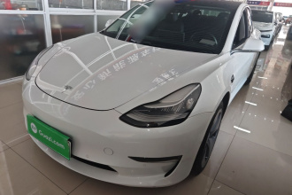特斯拉 Model 3(进口) 2019款 长续航全轮驱动版