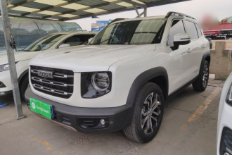 哈弗大狗 2021款 1.5T DCT两驱边牧版