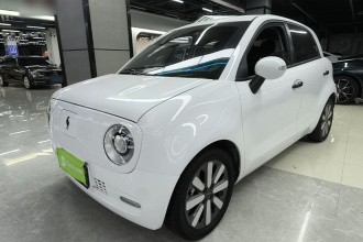欧拉黑猫 2021款 351km 豪华型