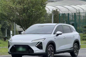 五菱汽车 五菱星光S 2025款 130km 高功率旗舰型