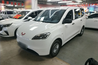 五菱汽车 五菱宏光新能源 2024款 纯电版 300KM 标准型