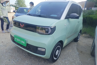 五菱汽车 宏光MINIEV 2021款 马卡龙时尚款 磷酸铁锂