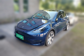 特斯拉 Model Y 2021款 长续航全轮驱动版