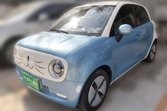 欧拉黑猫 2021款 301km 基础型