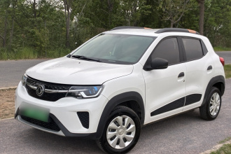 东风纳米EX1 2021款 质行版