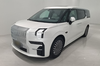 极氪009 2022款 WE版